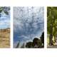 An image showing three test images from the iPhone 13 Pro Max